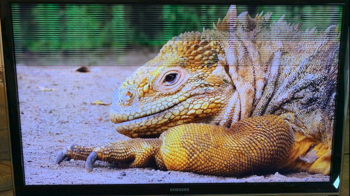 Samsung TV Horizontal Lines on Screen